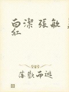 白洁 张敏 美红