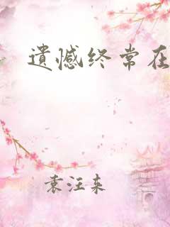 遗憾终常在小说