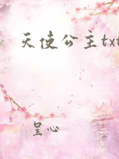 天使公主txt
