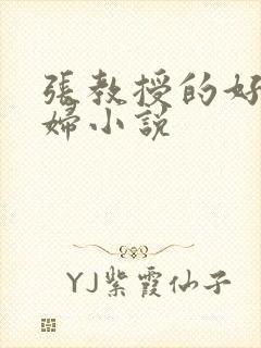 张教授的好儿媳妇小说