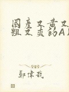 国产又黄又猛又粗又爽的A片小说