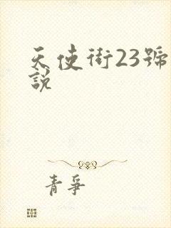 天使街23号小说