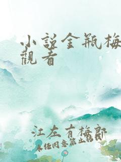 小说金瓶梅在线观看