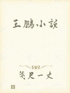 王鹏小说