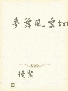梦舞风云txt