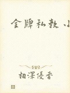金牌私教 小说