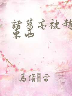 诸葛亮被赵云塞东西