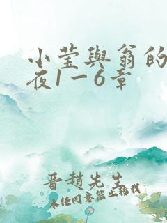 小莹与翁的销魂夜1一6章