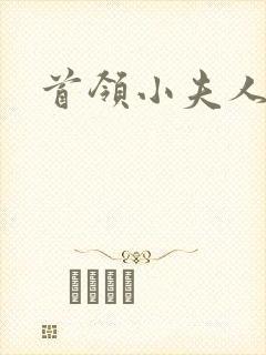 首领小夫人