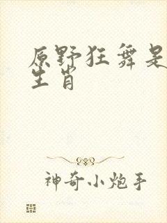 原野狂舞是什么生肖