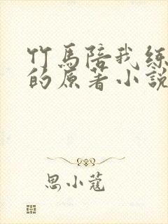 竹马陪我练技术的原著小说