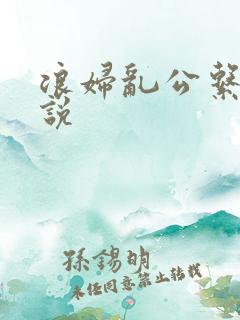 浪妇乱公系列小说