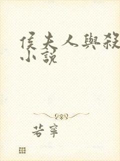 侯夫人与杀猪刀小说