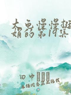 大龟慢慢挺进张娟的第19集