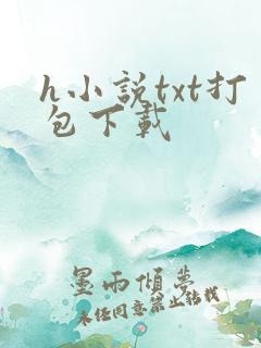 h小说txt打包下载