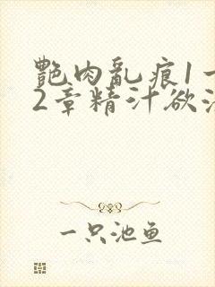 艳肉乱痕1一12章精汁欲液