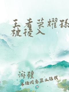 王者荣耀孙尚香被后入