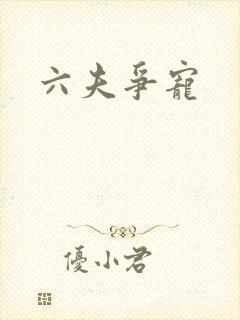 六夫争宠