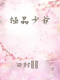 极品少爷