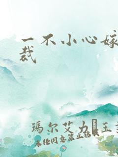 一不小心嫁给总裁