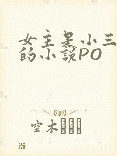 女主是小三很婊的小说PO