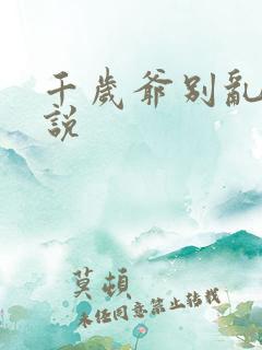 千岁爷别乱来小说
