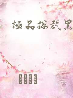 极品总裁黑道妻