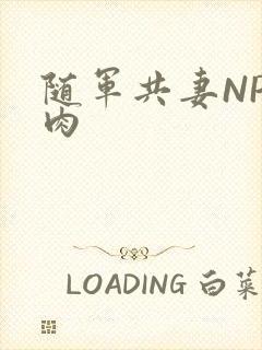 随军共妻NP纯肉