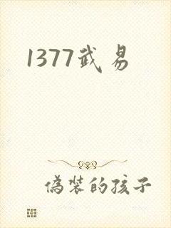 1377武易