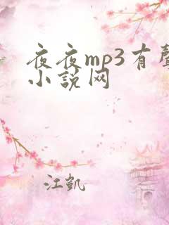 夜夜mp3有声小说网