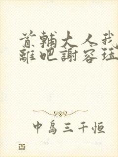 首辅大人我们和离吧谢容珏