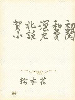 贺北溟和初夏的小说免费阅读无弹窗