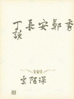 丁长安郑秀兰小说