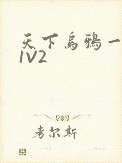 天下乌鸦一般黑1V2