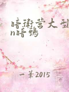 暗卫营大型hpn暗鸦