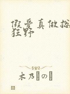 假爱真做总裁太狂野