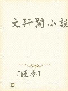 文轩阁小说网