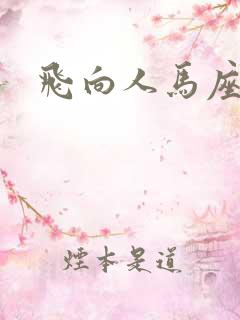 飞向人马座