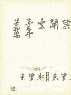 叶青云关禁闭一万年