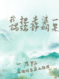 我把老婆一家一锅端静娴是什么书