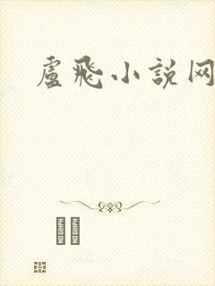 卢飞小说网
