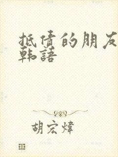 抵债的朋友麦子韩语