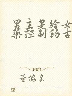 男主是给女主喂药控制的古言