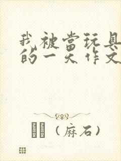 我被当玩具发泄的一天作文