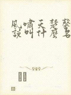 风啸天楚馨月小说叫什么名字