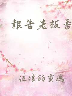 报告老板番外篇