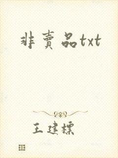 非卖品txt