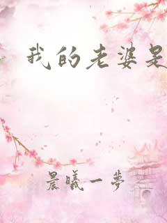 我的老婆是军阀