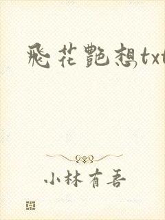 飞花艳想txt