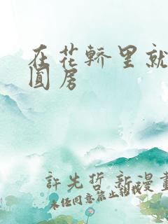 在花轿里就开始圆房